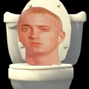 Skibidi Shady