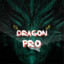 dragonpro531