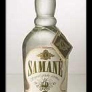 Samagoncikas