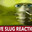 Group Avatar