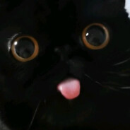 ZKITTLEZ ⇆ Trading