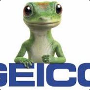Geico™
