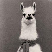 Pretty Lama