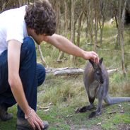 大龙     П (^_^) П's Avatar