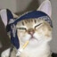 crip cat