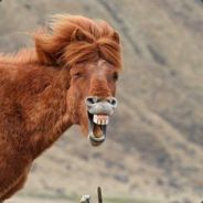 IDDQD