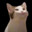 Group Avatar