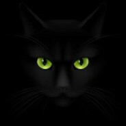 MonoCat