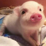 Sr. Cerdito