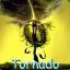 TORNADO