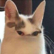 BOT