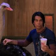 Spencer Shay