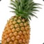 Pineapple_dude