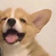 给你狗腿来几枪