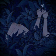 nyoko にょこ's Avatar