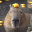 capybara&lt;3