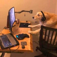 Dog player