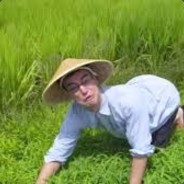 Chinese rice farmer