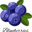 Blueberry