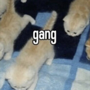 🦍