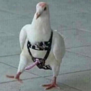 Virgin-boy