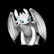 Pani Furia