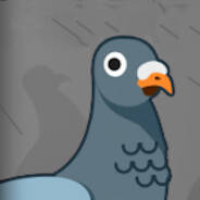 Pigeon avatar