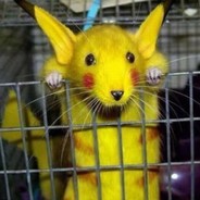 XITEINOMINE Soltem o pikachu