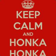 HonKaHonKa's Avatar