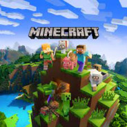 Minecraft gamer