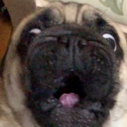 muFFin