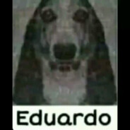 SEU PAI