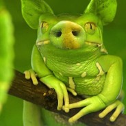 мать чекни бомж