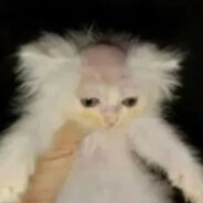 War crimes connoisseur