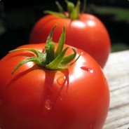 Los Tomatos