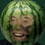 melon_musk123