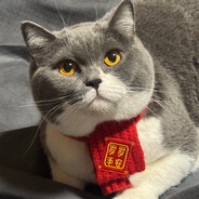 耗子皇