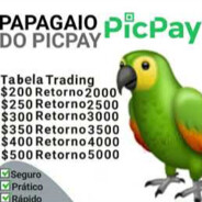 PAPAGAIO DO PICPAY avatar