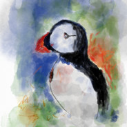 Reiner zu Fall's Avatar