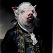 Ludwig van Piggy
