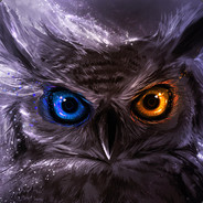 Dr.Owl