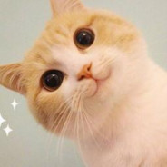 开光咸鱼喵