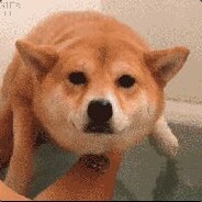 성운 하늘's Avatar