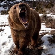 daaabear