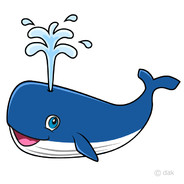 Happywhale
