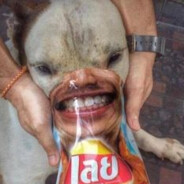 Peo