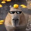 Swag_Capybara