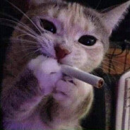 Furrando