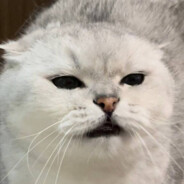 OJIBKAA