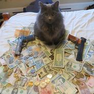 Bandit